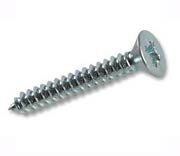 Self Tapping Screw